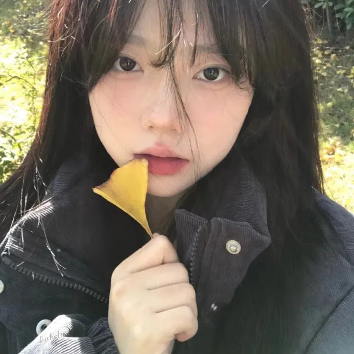 郁金香狂潮